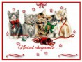 /album/animais-foifinhos/a98natalmagiagifs-jpg/