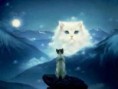 /album/animais-foifinhos/a8645684-jpeg/